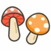 Mushrooms And Truffle