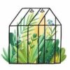Greenhouse And Accessories